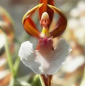 Meet your Posher, Xiomara